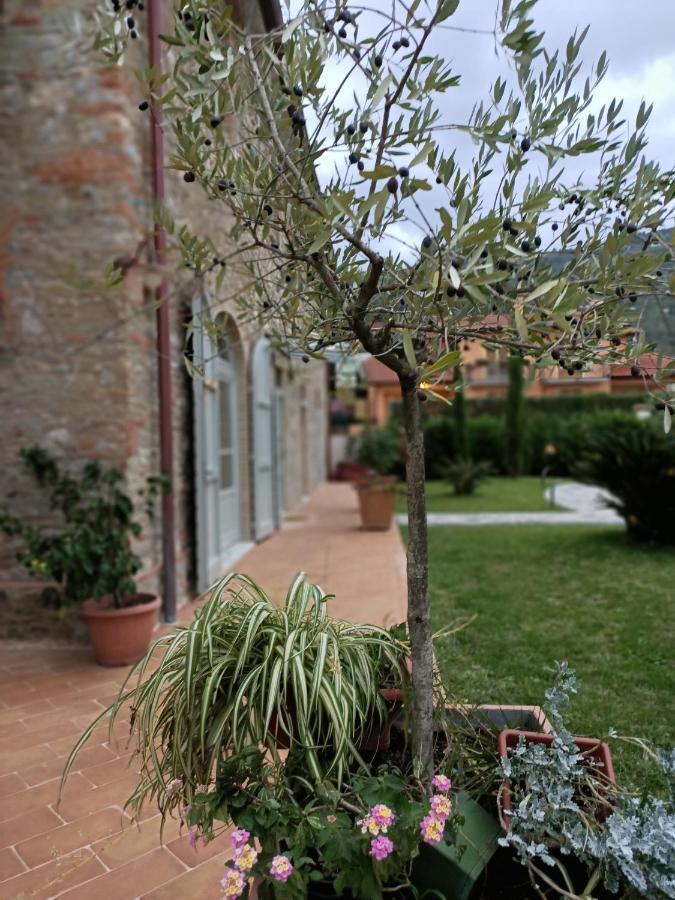 Bed and Breakfast Casale1918 Pietrasanta Exterior foto