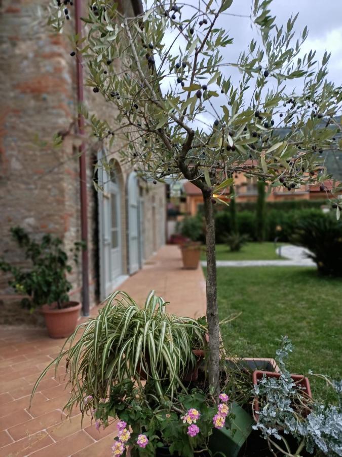 Casale1918 Bed and Breakfast Pietrasanta Exterior foto